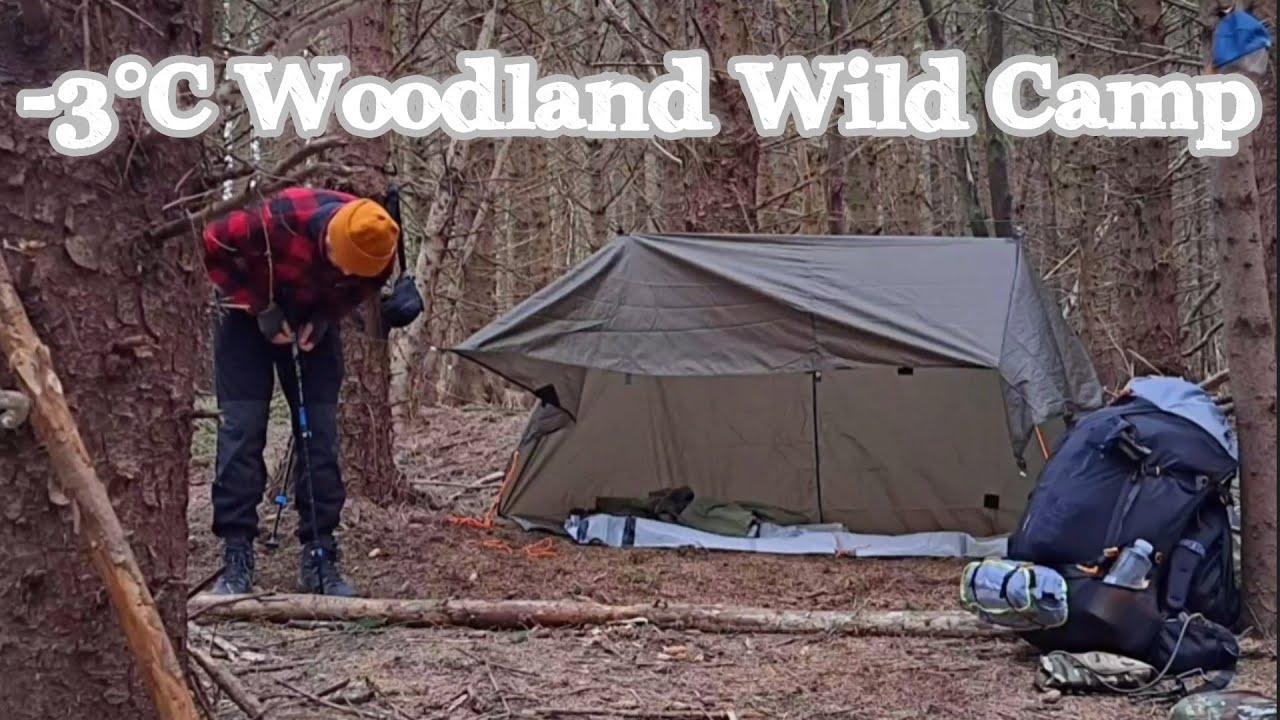 Cathedral of the Pines (March 2023) -3°C Forest Wild Camp