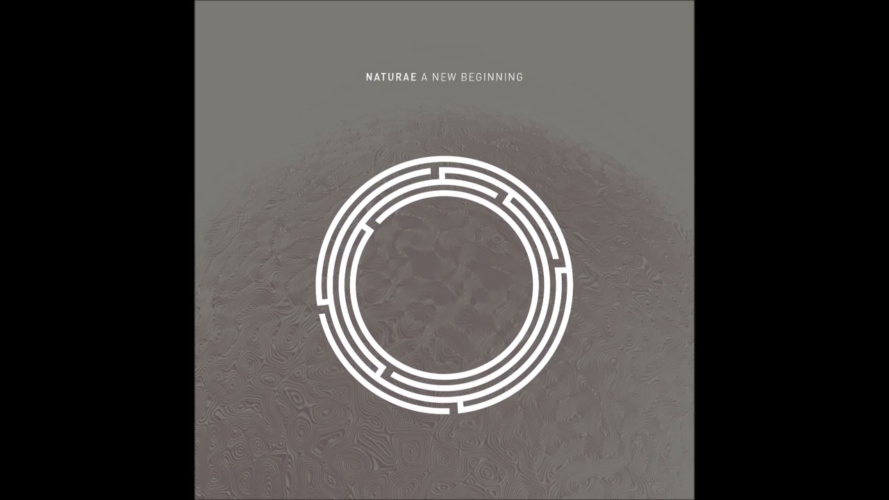 Naturae - The Misty Mountains Cold (Original Mix)