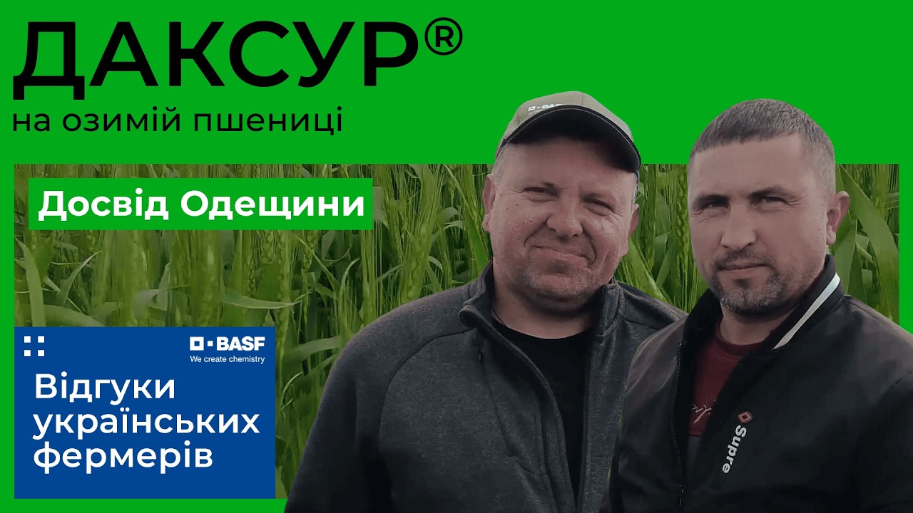 Даксур® на озимій пшениці. Досвід ТОВ “Агрофірма 