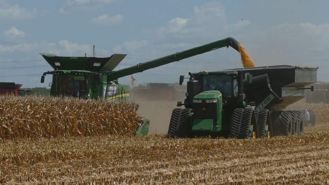 AMERICAN CORN HARVEST   Illinois, USA