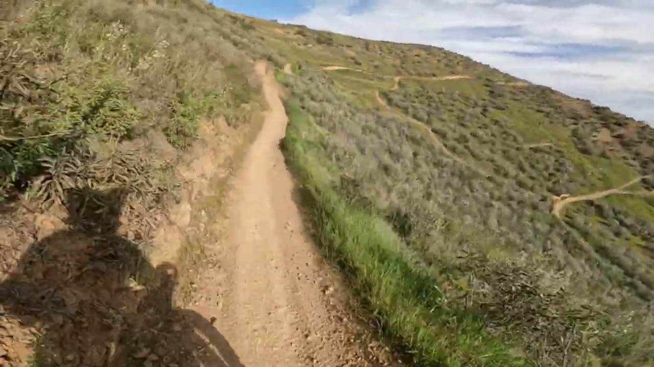 YZ250 TRAIL RIDING AT CARNEGIE!!