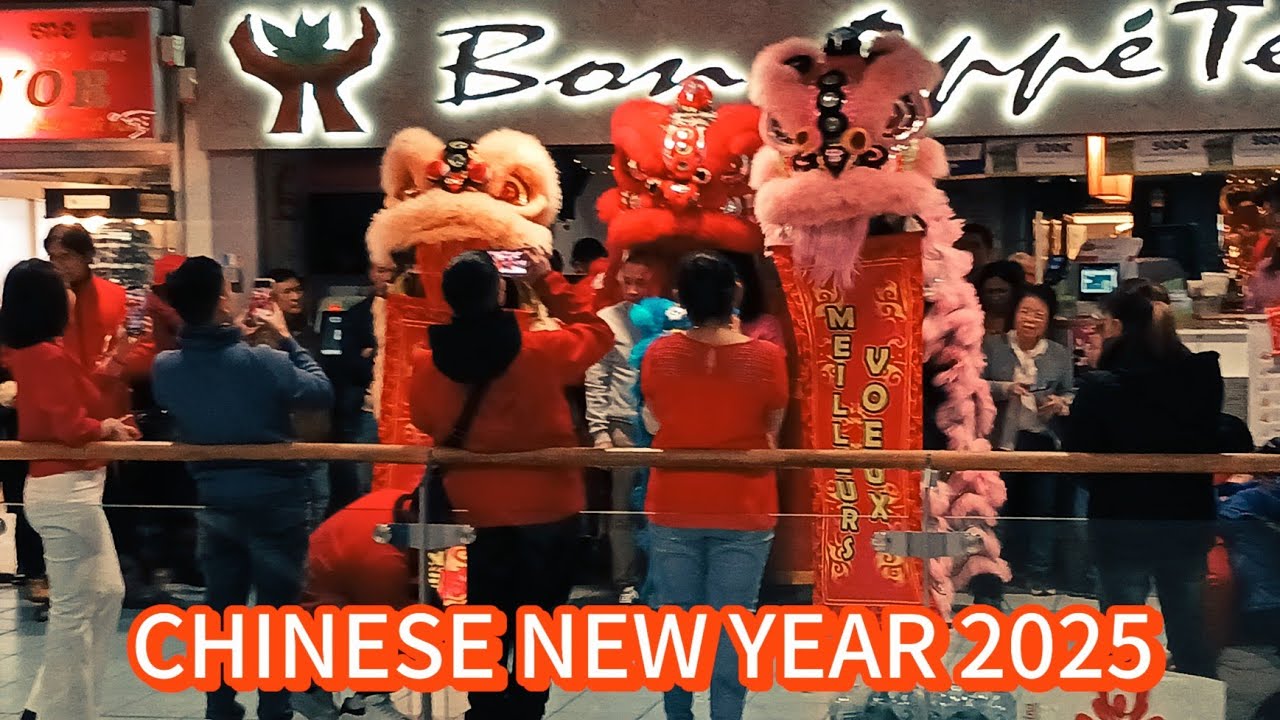 PARIS CHINESE NEW YEAR 2025 LION DANCE 新年快樂 2025 🧧🧨