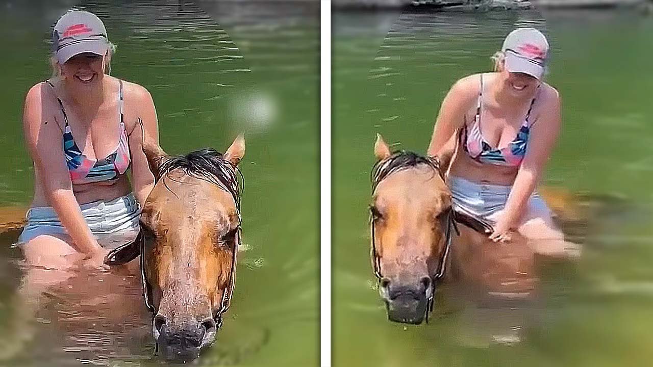 Riding MY HORSE On A DEEP WATER TRAIL RIDE! | HORSE SWIMMING while Horseback Riding