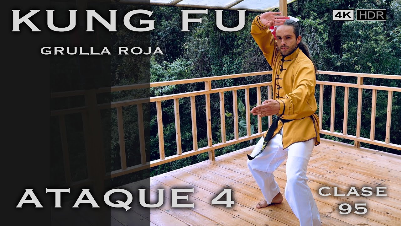 Grulla Roja técnica y ataque 4 / Clase 95 Kung Fu Wushu