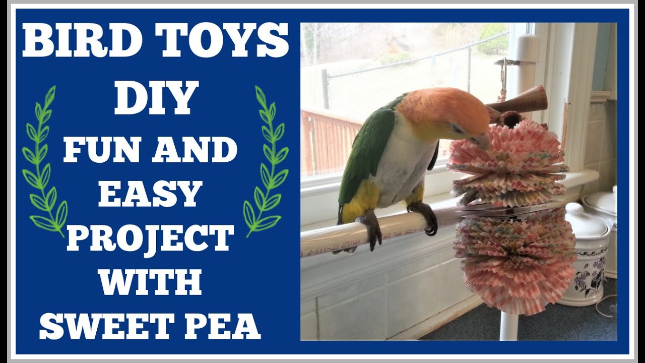 BIRD TOYS DIY FUN AND EASY PROJECT WITH SWEET PEA