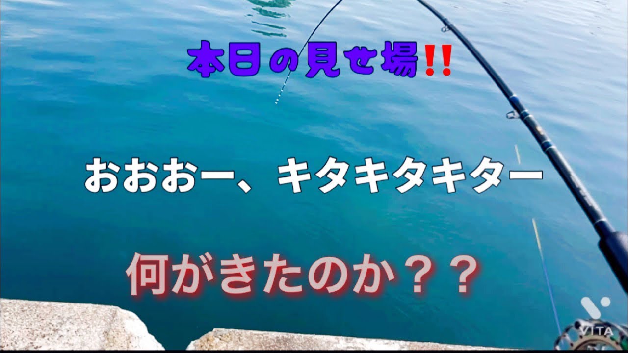 [ヘチ釣り　落とし込み　チヌ　黒鯛　神戸] チヌを釣りに毎週釣りに行ってるが、今日はどうなったのか？[一文字　沖堤防　チヌ　黒鯛]