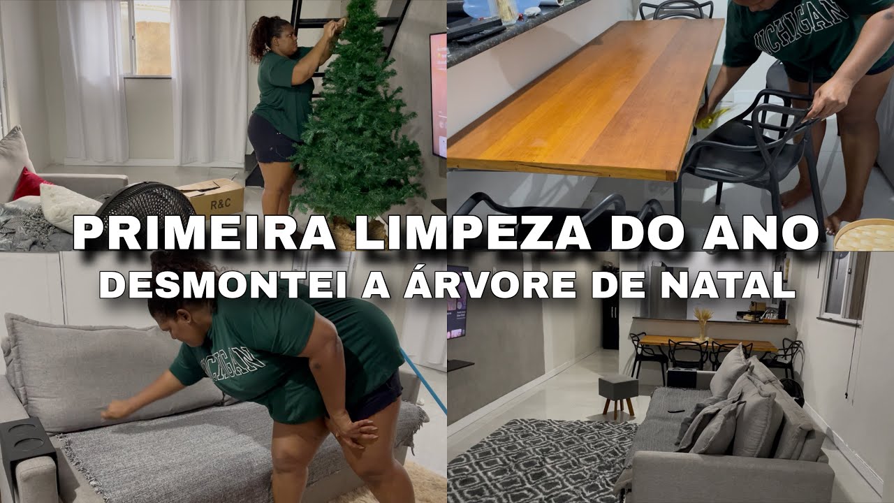 VLOG: PRIMEIRA ORGANIZAÇÃO DA CASA DO ANO + DESMONTEI A ÁRVORE DE NATAL || PAULA FERREIRA 