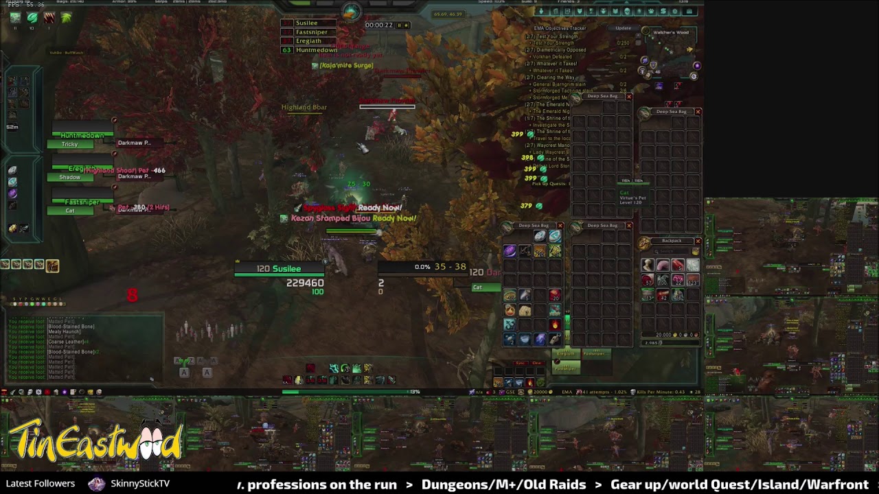 World of Warcraft BFA - Multiboxing Skinning Spot 2: Watcher&acute;s Wood - Drustvar - 65.69 46.40
