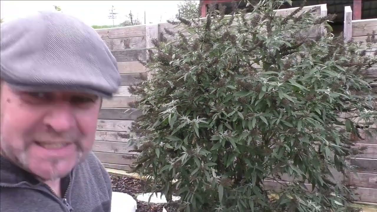 So macht ihr Euren Garten Winterfest
