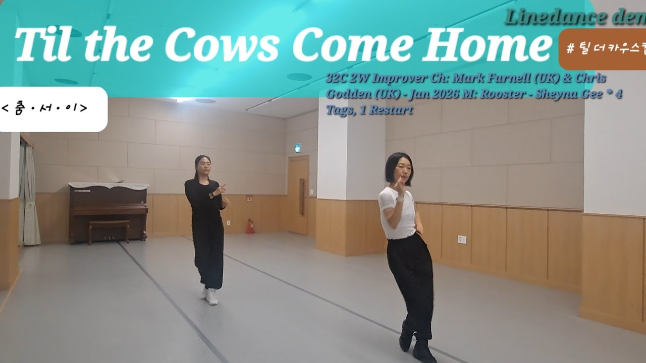 Til the Cows Come Home Linedance demo #Improver # 틸 더 카우스 컴 홈 #춤ㆍ서ㆍ이 #dance #즐춤 #언제든 #어디서든 #라인댄스