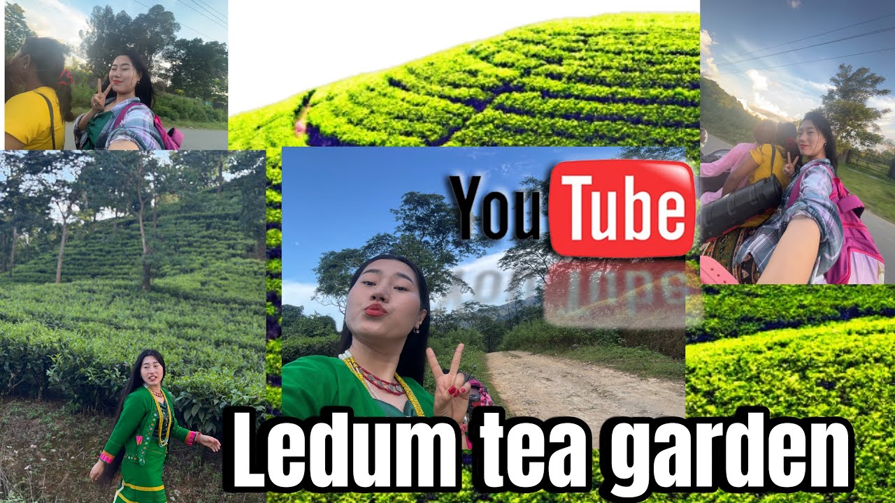 FIRST TIME VISITING LEDUM TEA GARDEN #lifestyle #villagelifestyle 