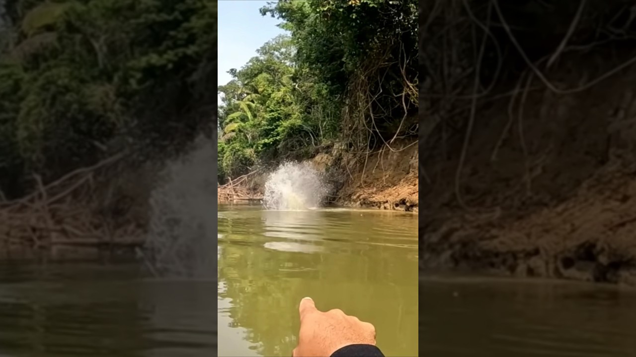 On&ccedil;a veio atr&aacute;s ela as jogou do barranco alto!