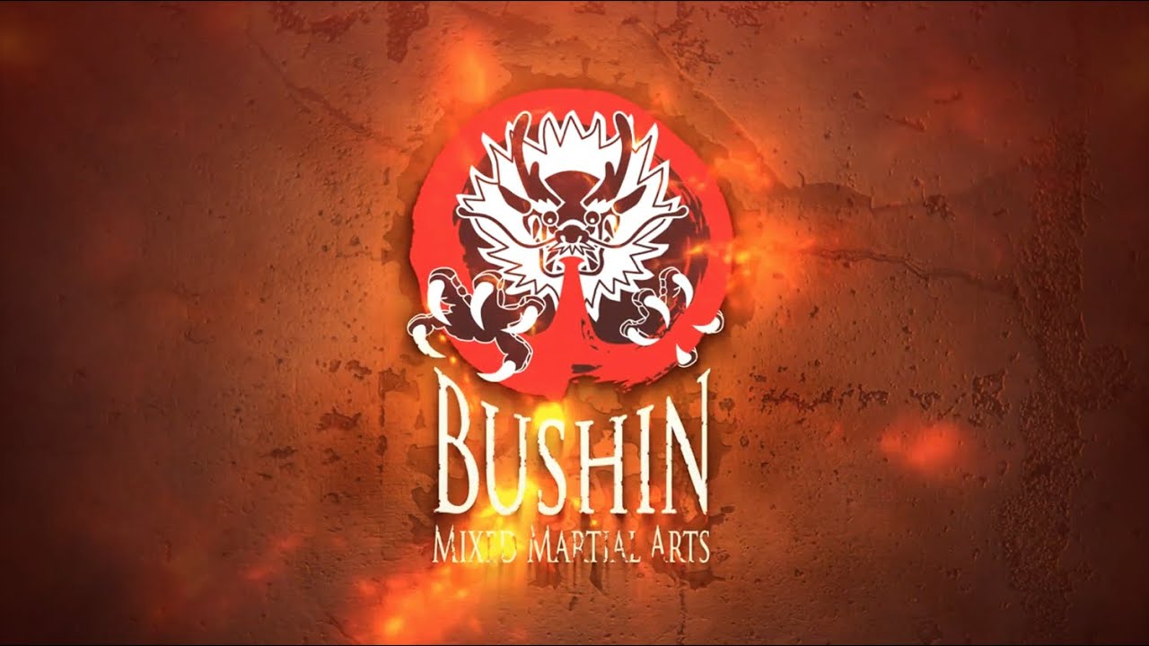 Bushin MMA Promo Video