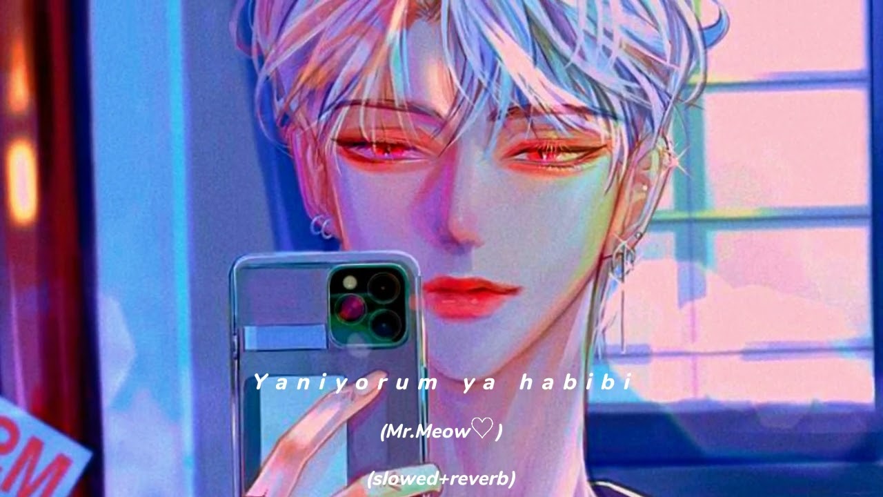yaniyorum ya habibi (slowed+reverb).