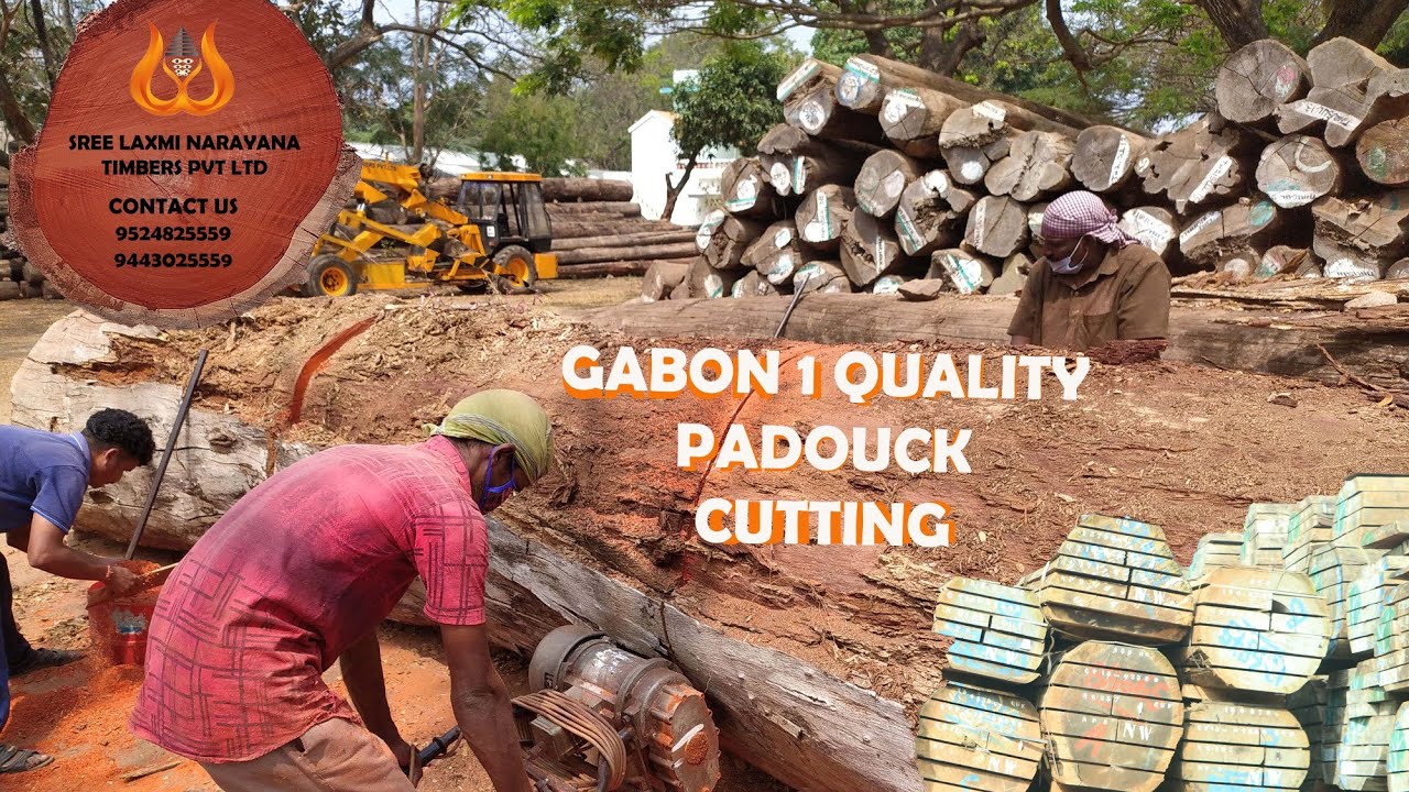 PADOUCK ROUND LOG🪵 || 15 FEET GIRTH || GABON 1 QUALITY  || SREE LAXMI NARAYANA TIMBERS PVT LTD ||