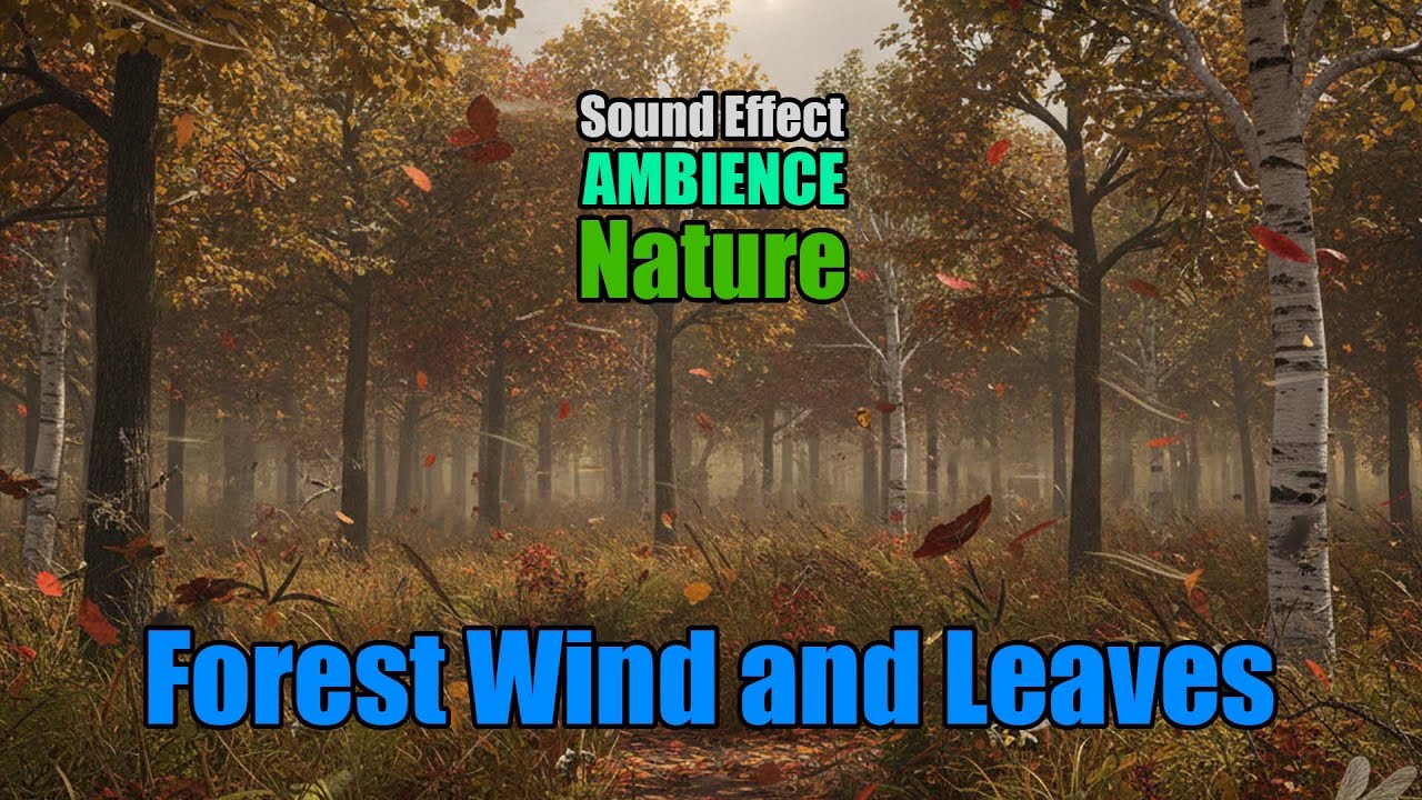 Forest Whispers: Windy Mixed Deciduous Woodland & Insects - SFX - Sound Effect