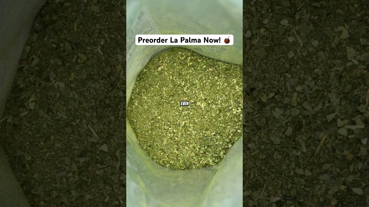 Day 9: Making La Palma (PREORDER NOW!)🧉