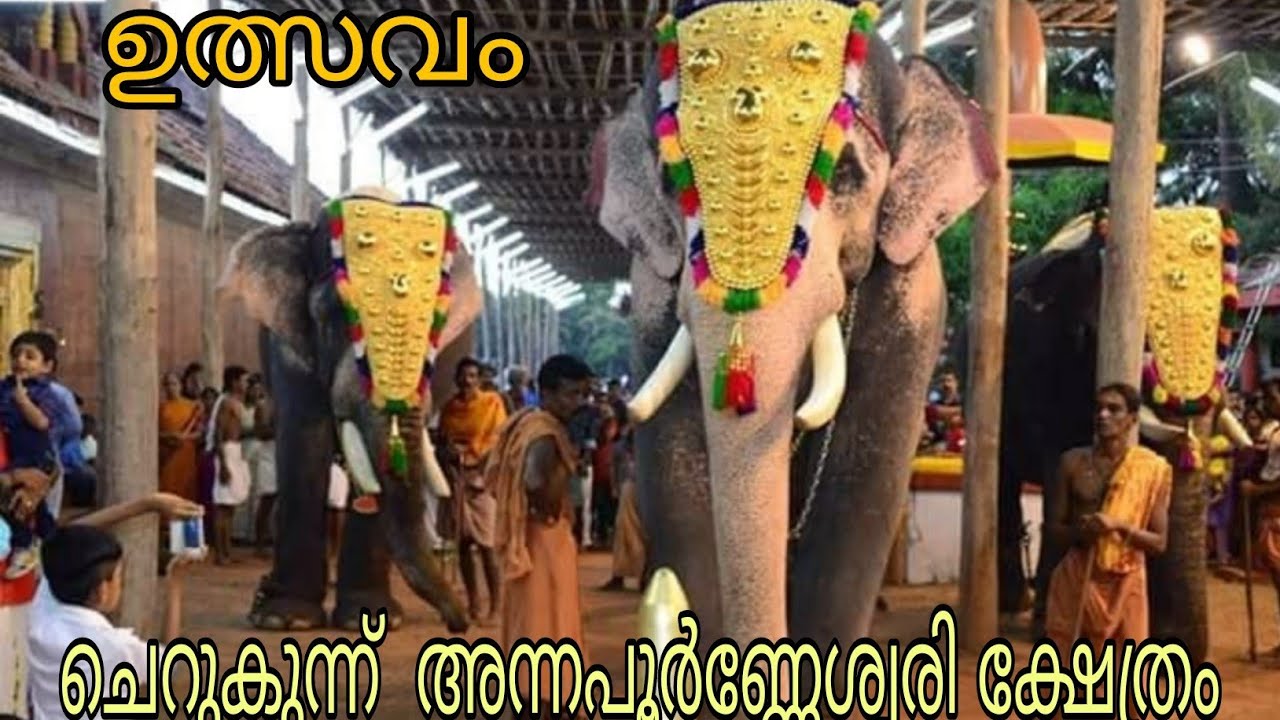 ഉത്സവം 4th day @Cherukunnu annapoorneshwari temple | vishu ulsavam 2025 |ചെറുകുന്ന് അമ്പലം