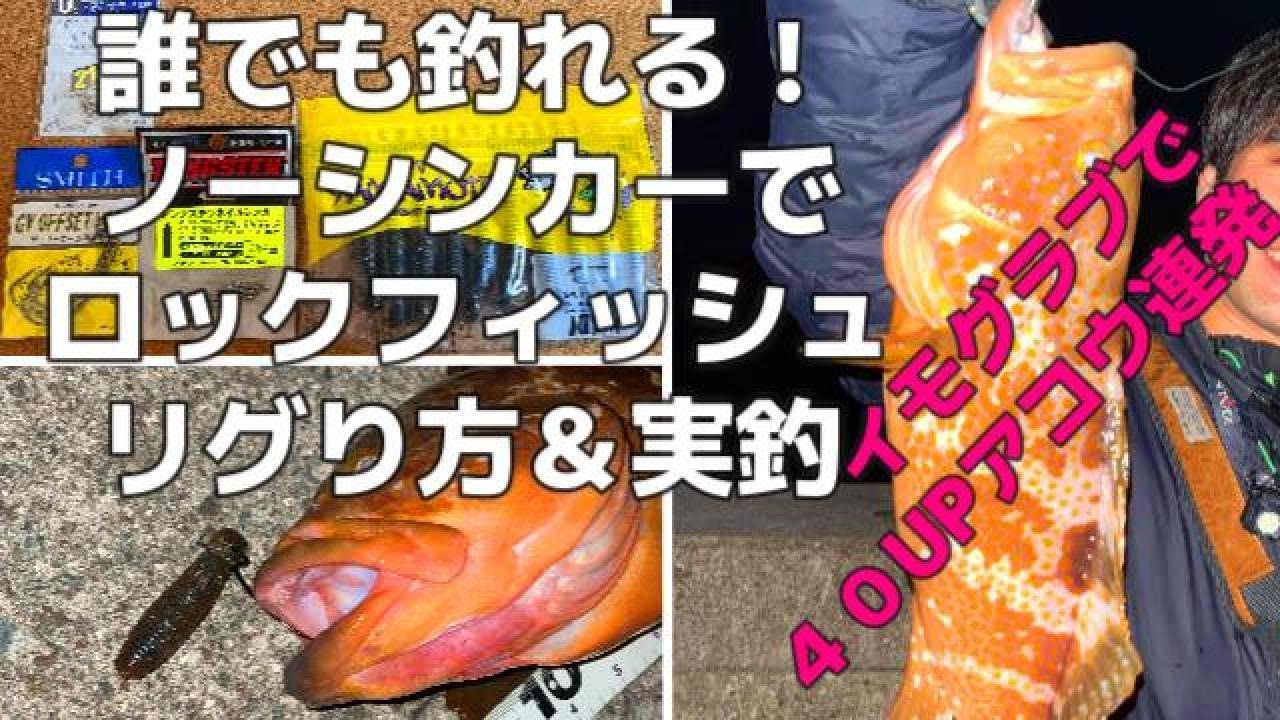 イモグラブのノーシンカー＆ネイルリグでロックフィッシュ攻略。遠浅ゴロタ浜で遠投アコウ（キジハタ）狙い　月夜とウィードの考え方