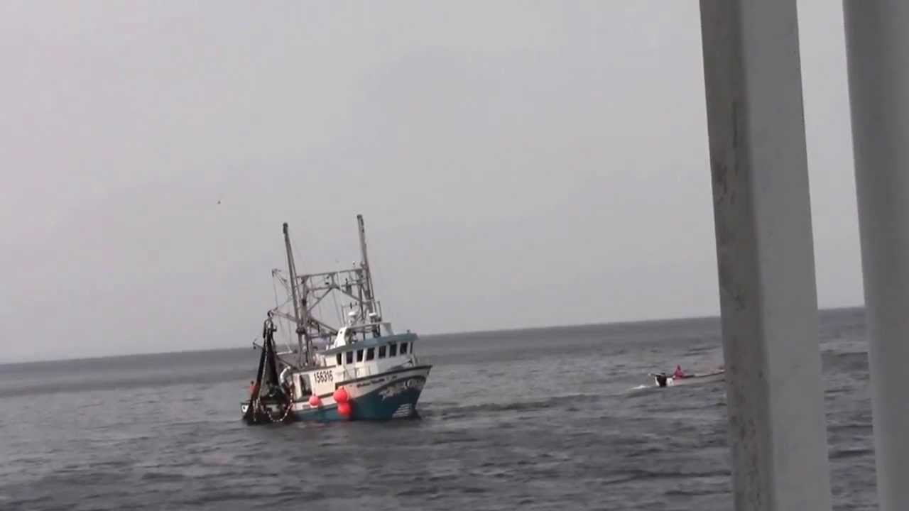 Caplin Fishery 2013