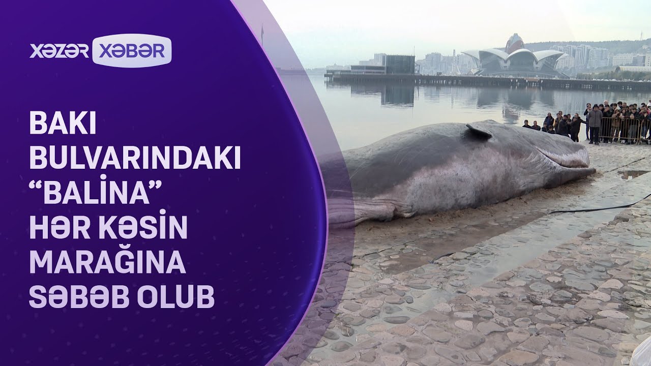 Bakı bulvarındakı 