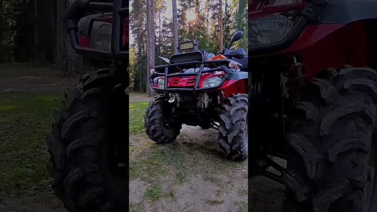 Квадроцикл STELS ATV 300B  #покатушки #stels #лес