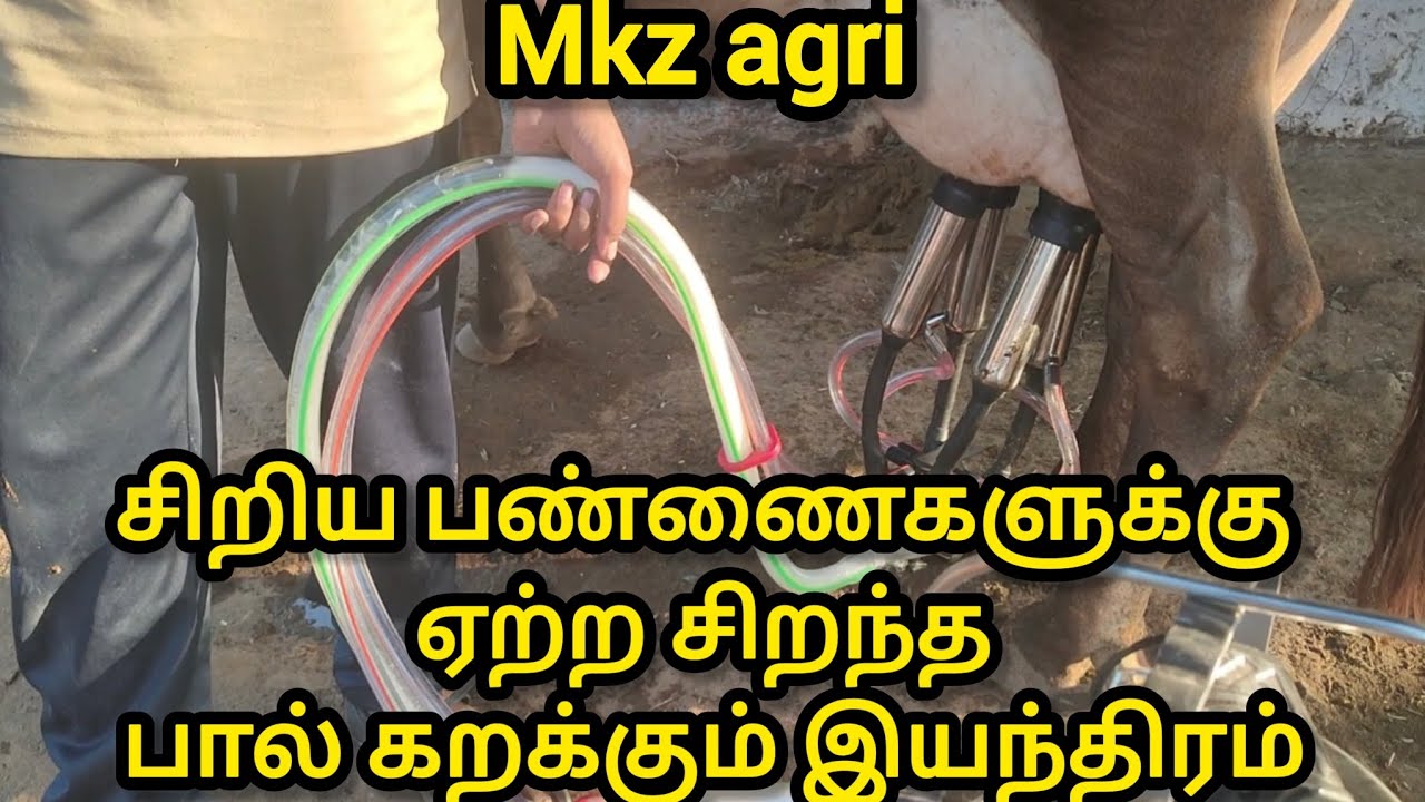 MKz சிறிய மாட்டுப் பண்ணைகளுக்கு சிறந்த மில்கிங் மிஷின் 🐄✨ 