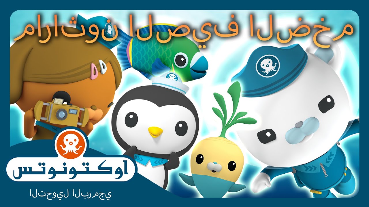 أوكتونوتس | ☀️ ماراثون الصيف الضخم 🤿 | حلقات مجمعة