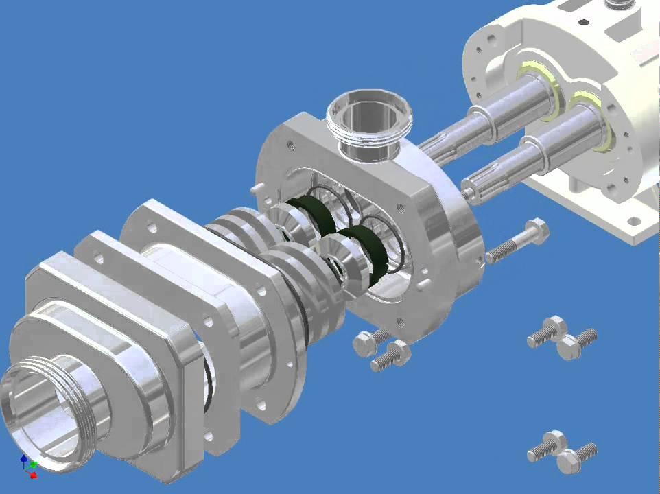 How to disassemble a Bornemann SLH for maintenance.avi