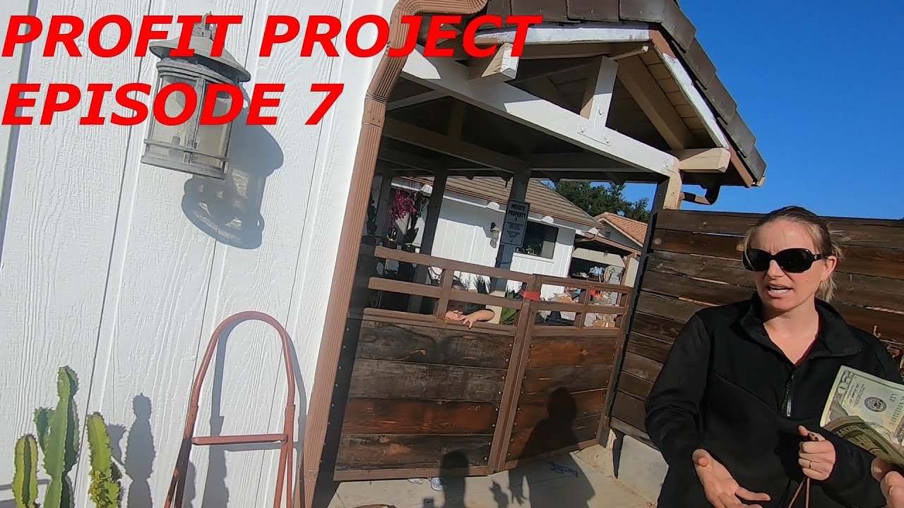 PROFIT PROJECT EPISODE 7:  Making A PROFIT On Everything I Buy.