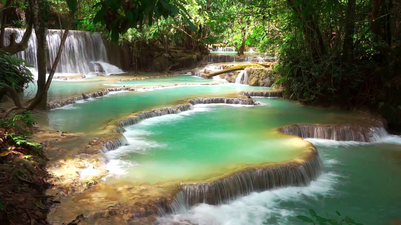 Relaxing Ambient Nature Sounds | Waterfall & Birds for Meditation, Relaxing, Sleeping, Studying