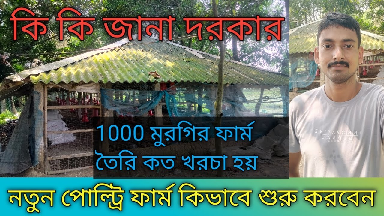 নতুন পোল্ট্রি ফার্ম কিভাবে শুরু করবেন/ chicken farming/ boiler/ poultry farming/ new poultry farm