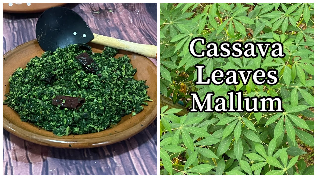 Cassava leaves mallum (maiyokka) මඤ්ඤොක්කා කොළ මැල්ලුම| Srilankan manioc leaves mallum