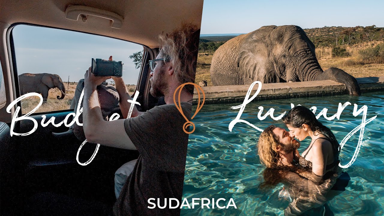 Safari in Sudafrica: LUSSO o ECONOMICO? 🐘