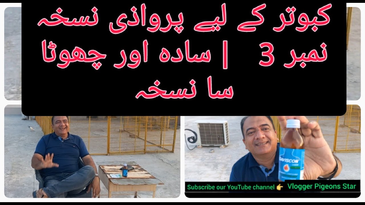 KABOTAR K LIYE PARWAZI NUSKHA 3 | Vlogger Pigeons Star | shahzad qureshi