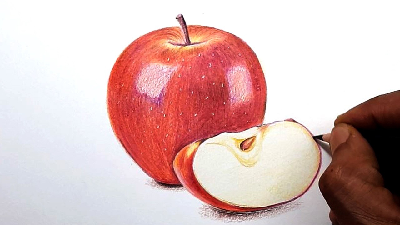 How to Draw Realistic Apple🍎 | Apple Colored Pencil Drawing | Step by Step Tutorial for Beginners