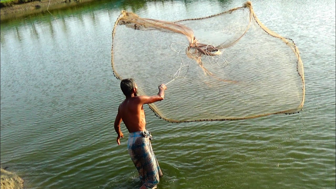 Throw Net Fishing । Traditional Cast Net Fishing In Village