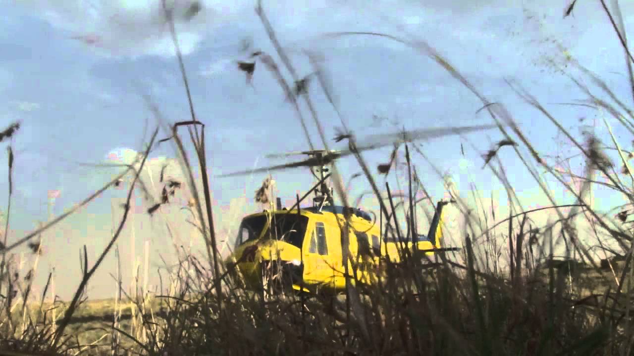 Aviation video