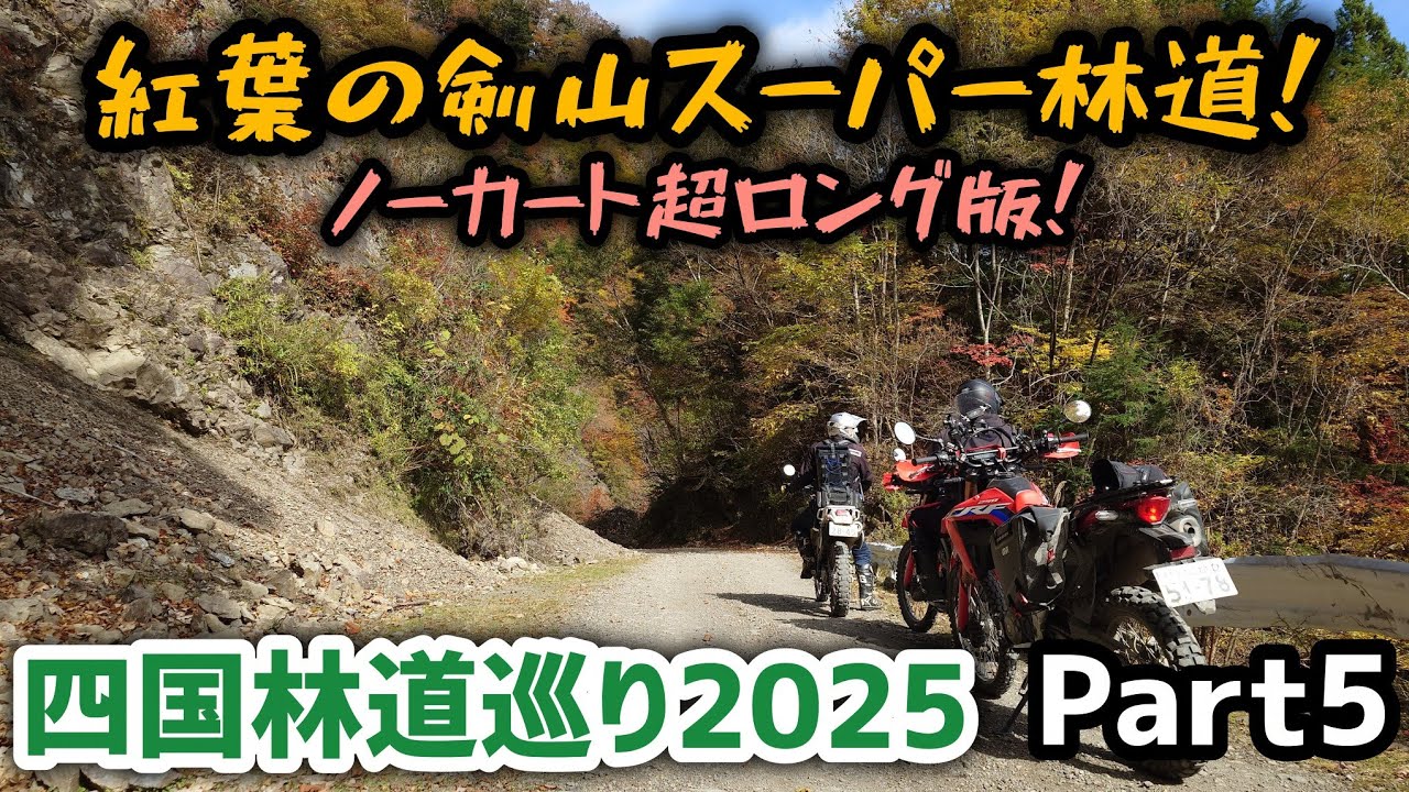 綺麗過ぎたので全部見せます秋の剣山スーパー林道！四国林道巡り2025！Part5
