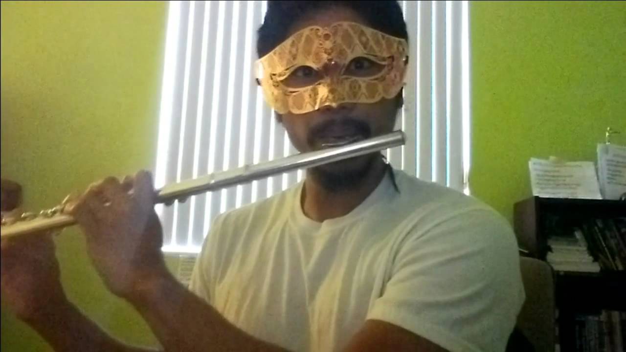 Taylor Swift - Blank Space Flute Cover