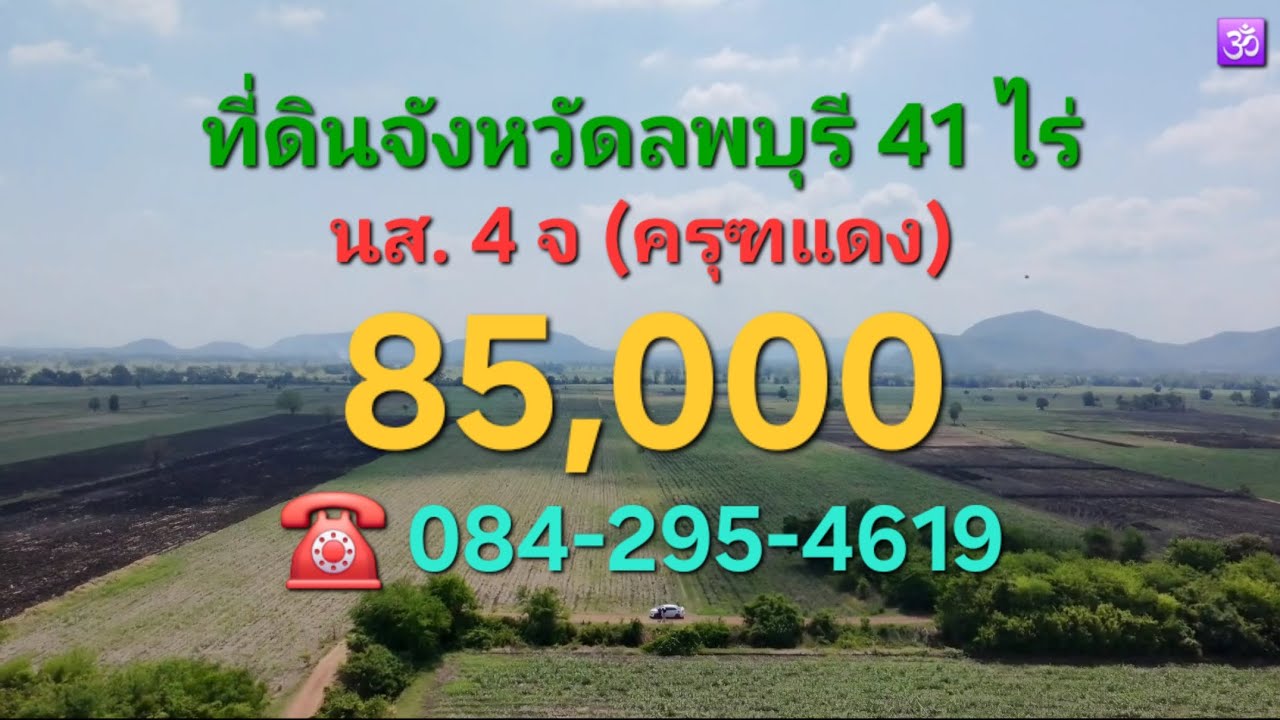 EP: 78 ที่ดินจังหวัดลพบุรี 41 ไร่  นส. 4 จ (ครุฑแดง) ราคาไร่ละ 85,000 บาท  ☎️ 084-2954619