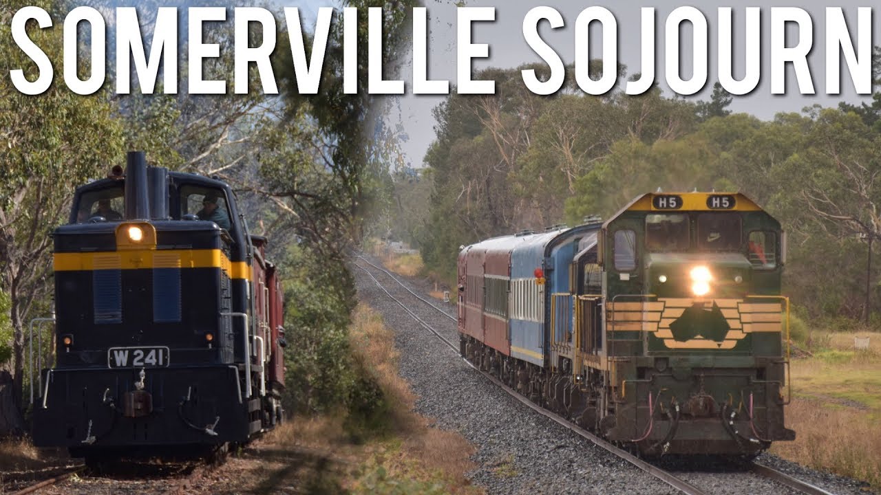 Heritage Diesels on the Mornington Peninsula! (707 Operations' Somerville Sojourn) | H5, W241 & T411