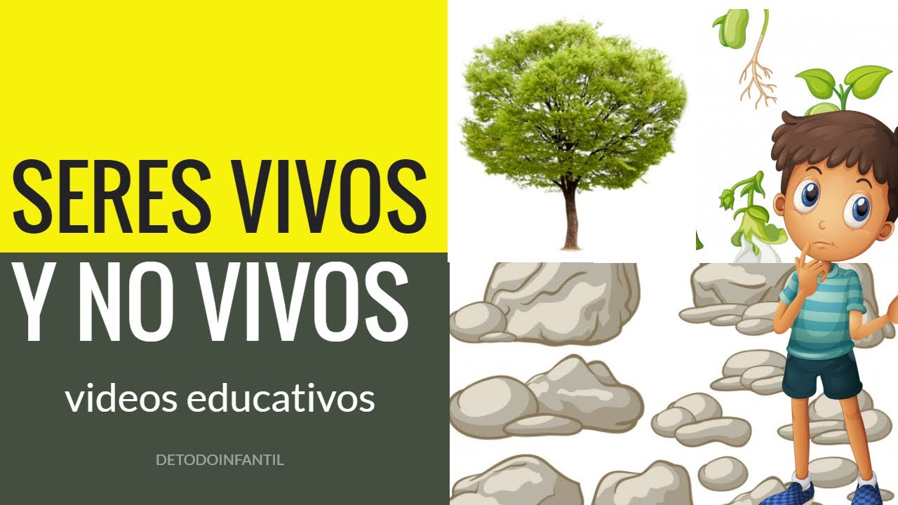 LOS SERES VIVOS Y NO VIVOS / VIDEOS EDUCATIVOS PARA NIÑOS