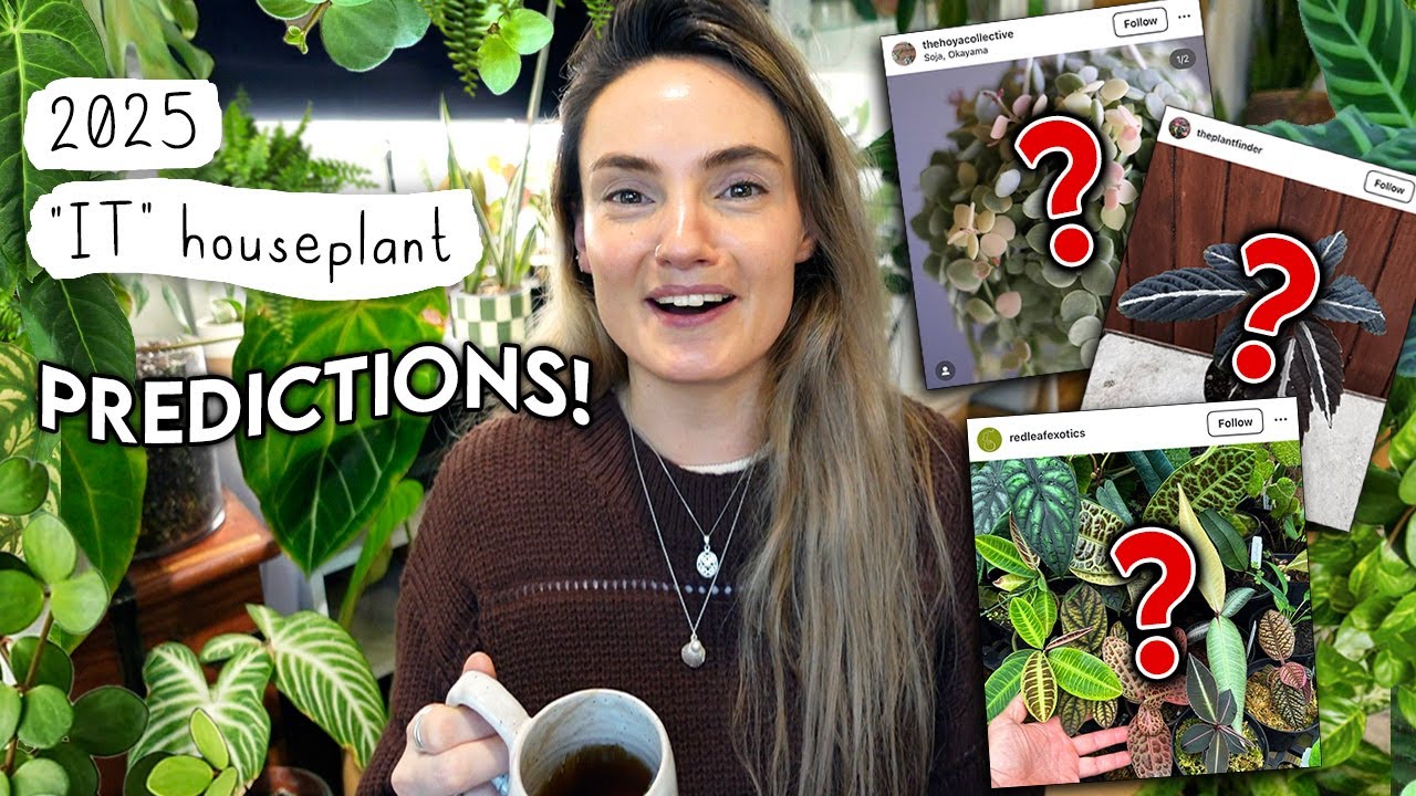 Houseplant TRENDS of 2025 🪴 The 