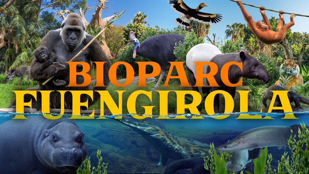 Is Bioparc Fuengirola as Amazing as It Looks?