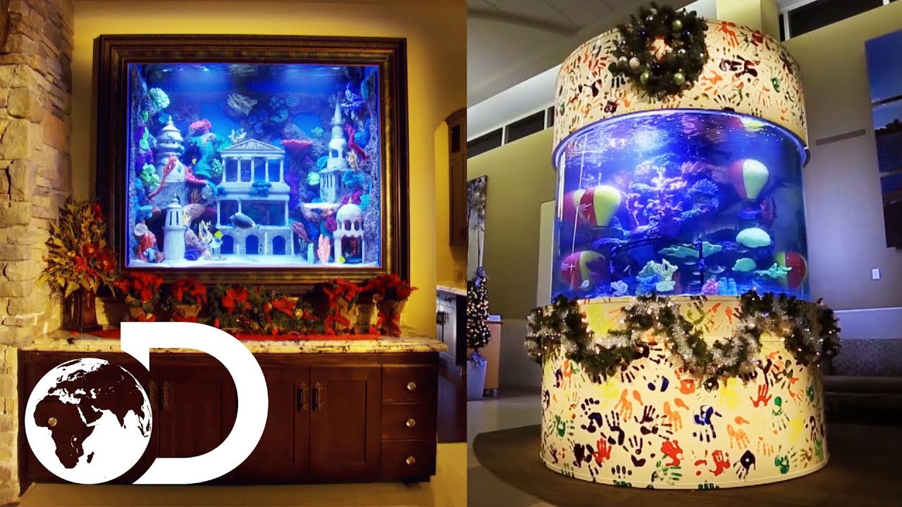 Лучшие рождественские аквариумы! | Tanked