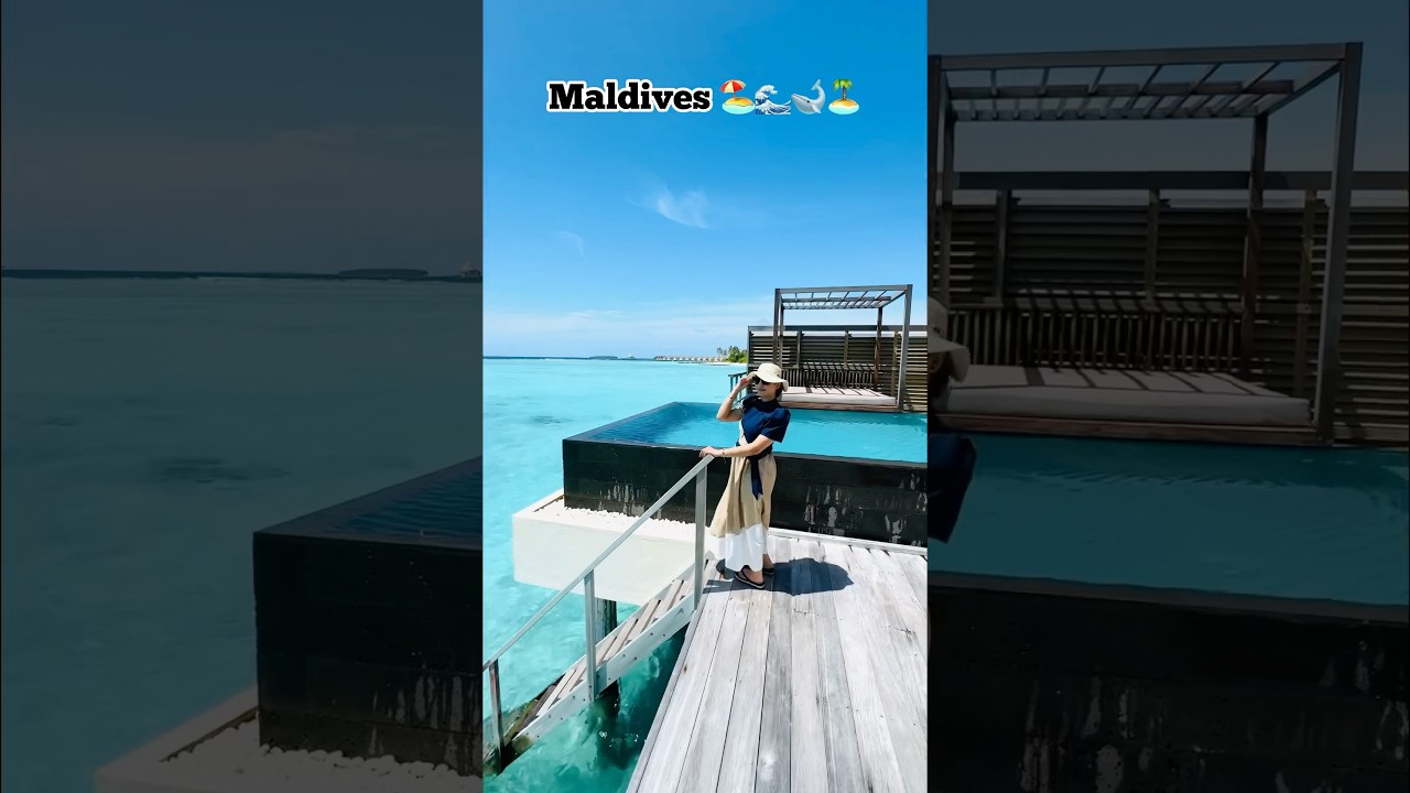 When I jumped into the ocean🐋 #Maldives