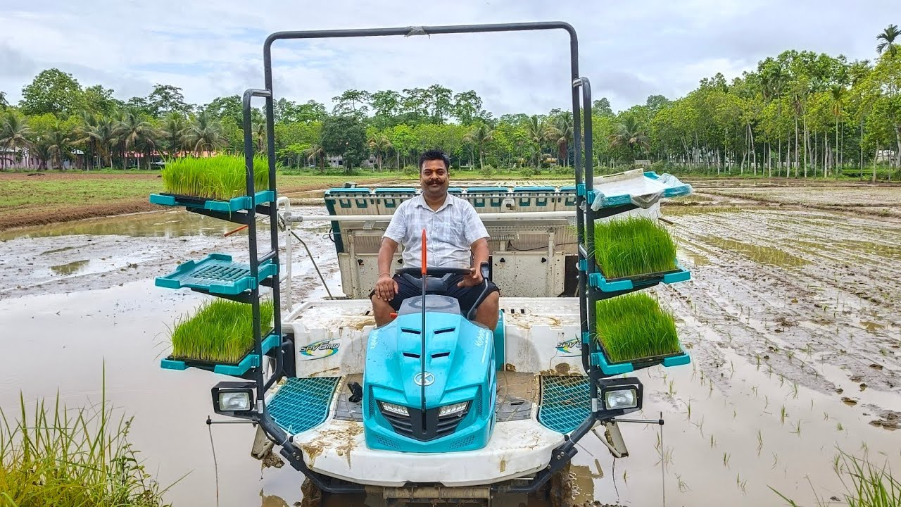 Rice planting/paddy transplantar/kudota paddy transplantar फील्ड में कैसे चलाएं