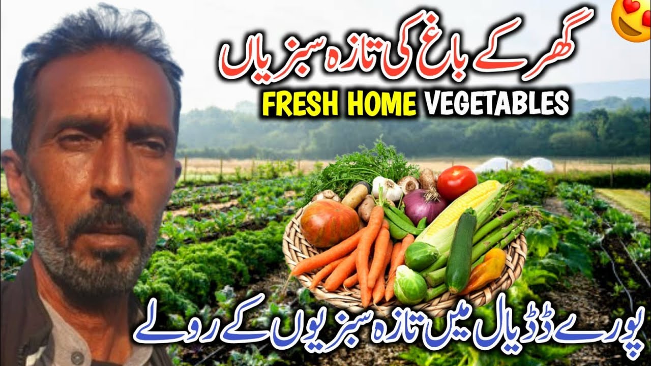 Fresh Home Vegetables || Ghar Ke Bagh Ki Sabziyon Ka Dadyal Main Rola