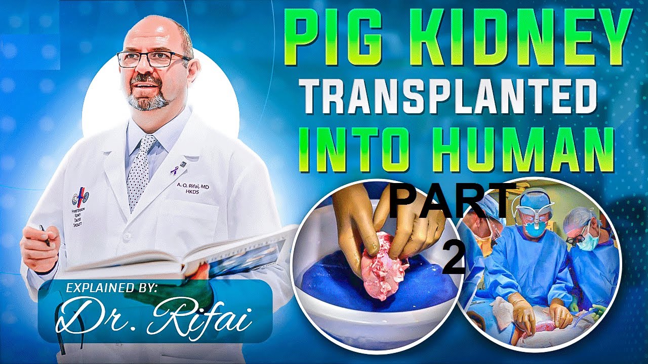 Xenotransplantation. Pig's Kidney Transplanted into a Human | PART 2 | The Virtual Nephrologist